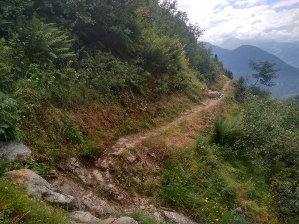 Miedo de los precipicios? Si