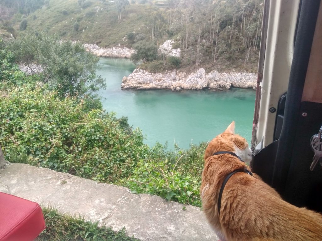 Viajar solo o viajar acompañado