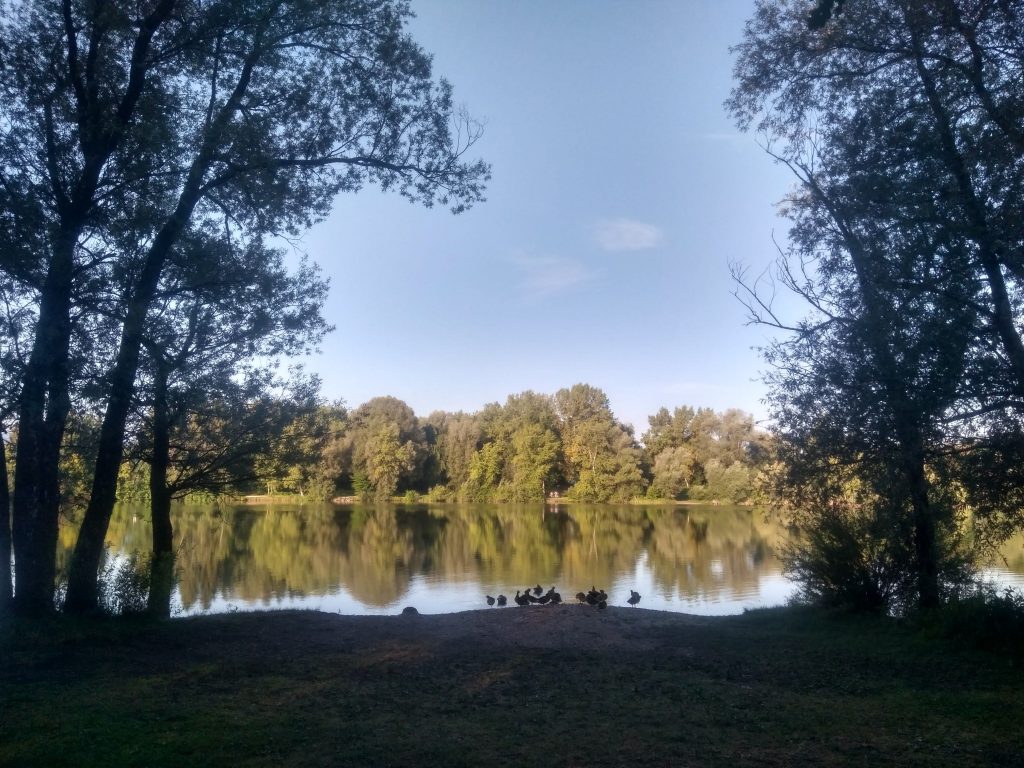 Salzburgo la ciudad de la sal