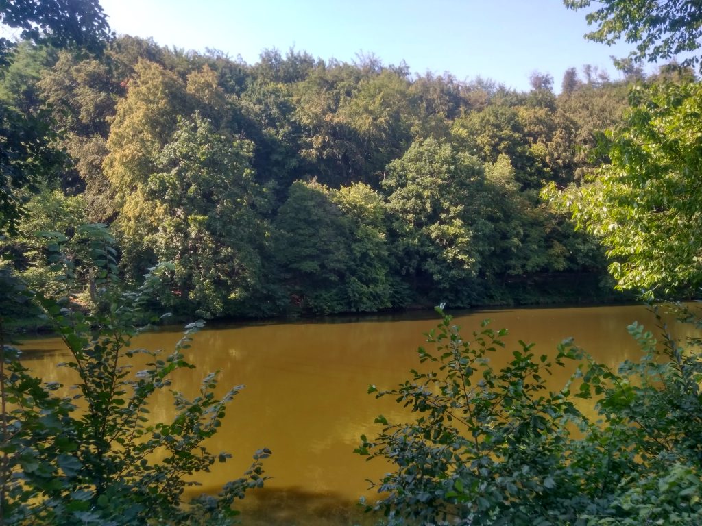 me echó la policía