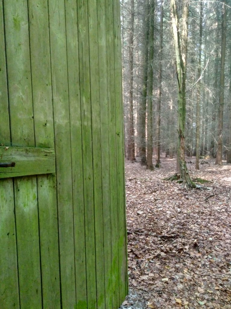 Dos meses viajando en furgoneta camper