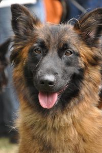 primer sueño lúcido