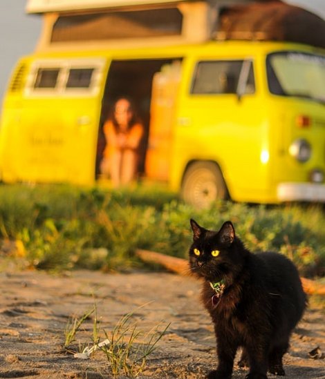 Entrevista a Xino Xano