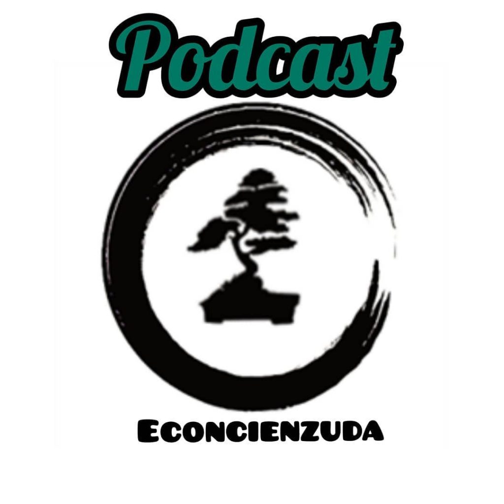 Viajar en una furgoneta antigua es sostenible