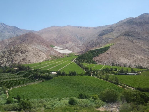 Valle de Elqui