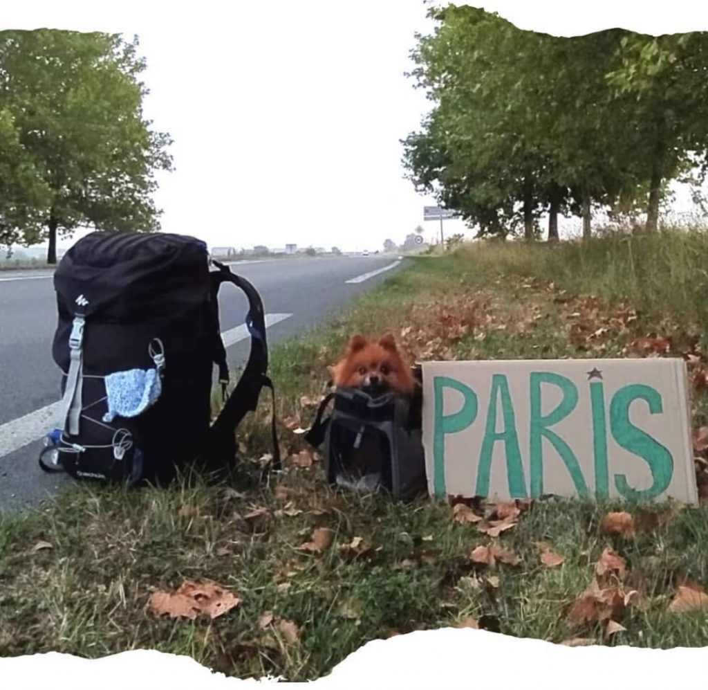 Viajar por el mundo trabajando en Marketing Digital